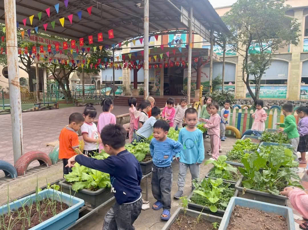 Hoạt động ngoài trời